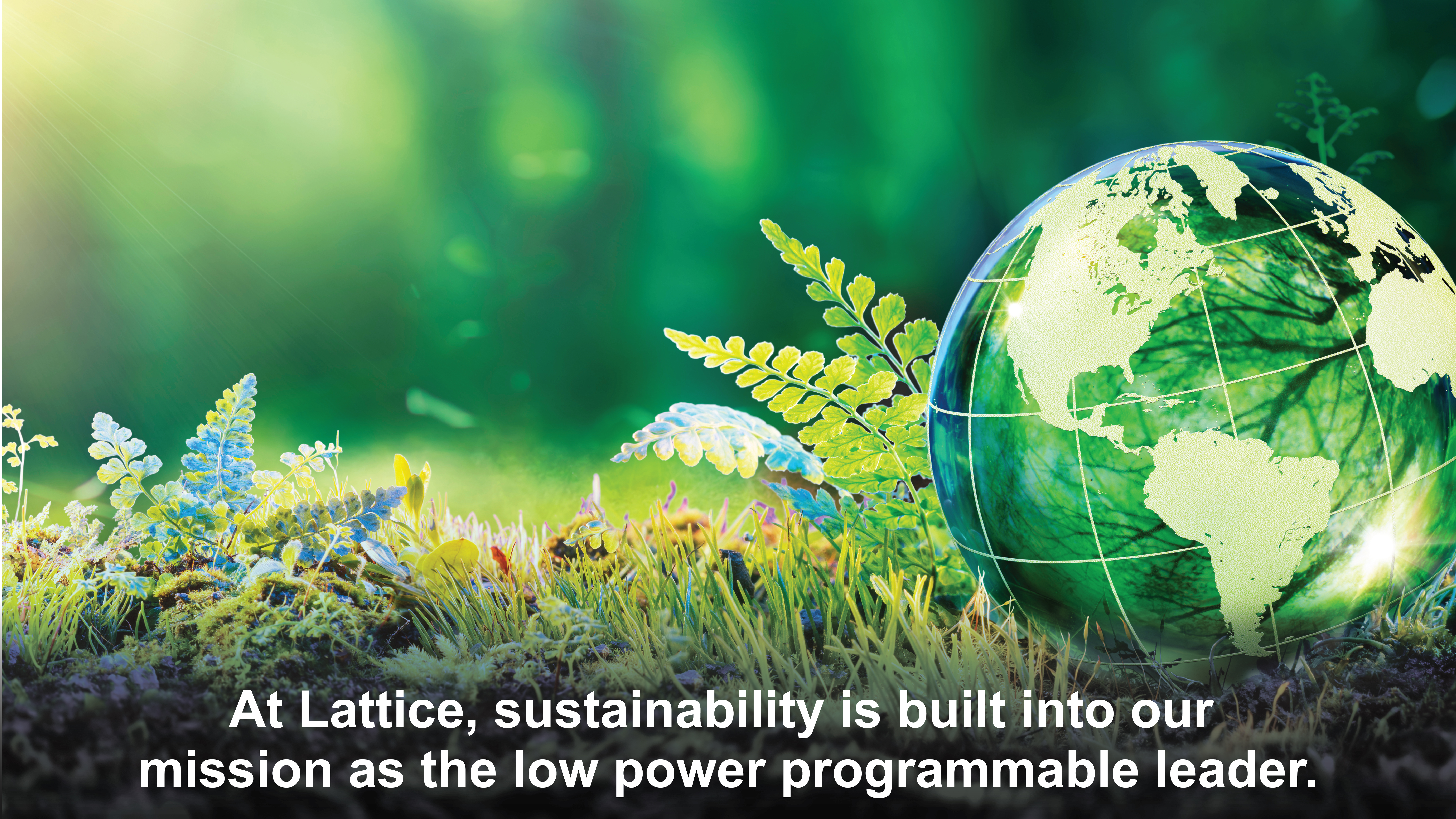 Environmental Banner