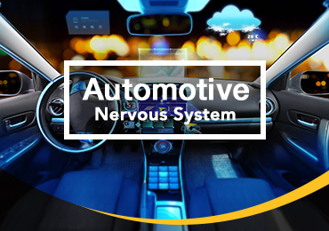 Centralizing ADAS- A Look into the Automotive Nervous System