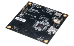 DisplayPort VIP Output Bridge Board Side View