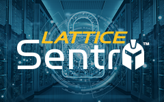 Lattice Sentry Graphic