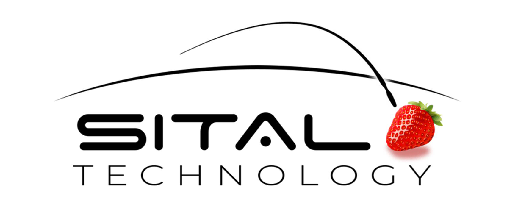 Sital Technology